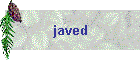 javed