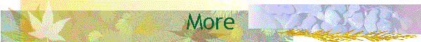 More
