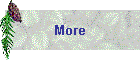 More
