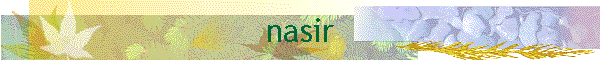 nasir
