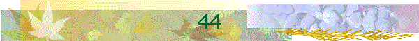 44
