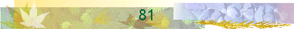 81