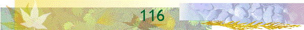 116