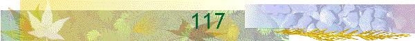 117