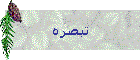 تبصرہ
